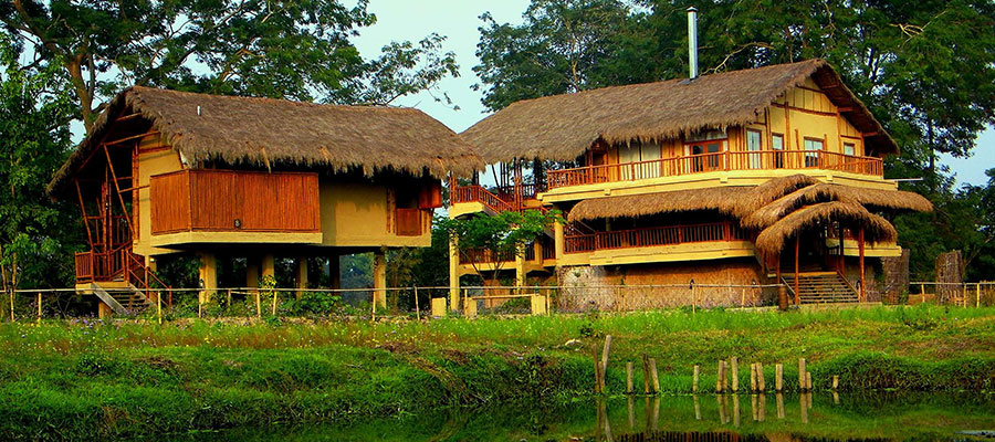 Diphlu River Lodge, Kaziranga [India]