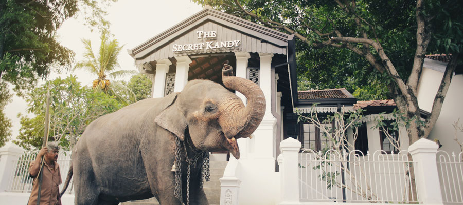 The Secret Kandy, Kandy [Sri Lanka]